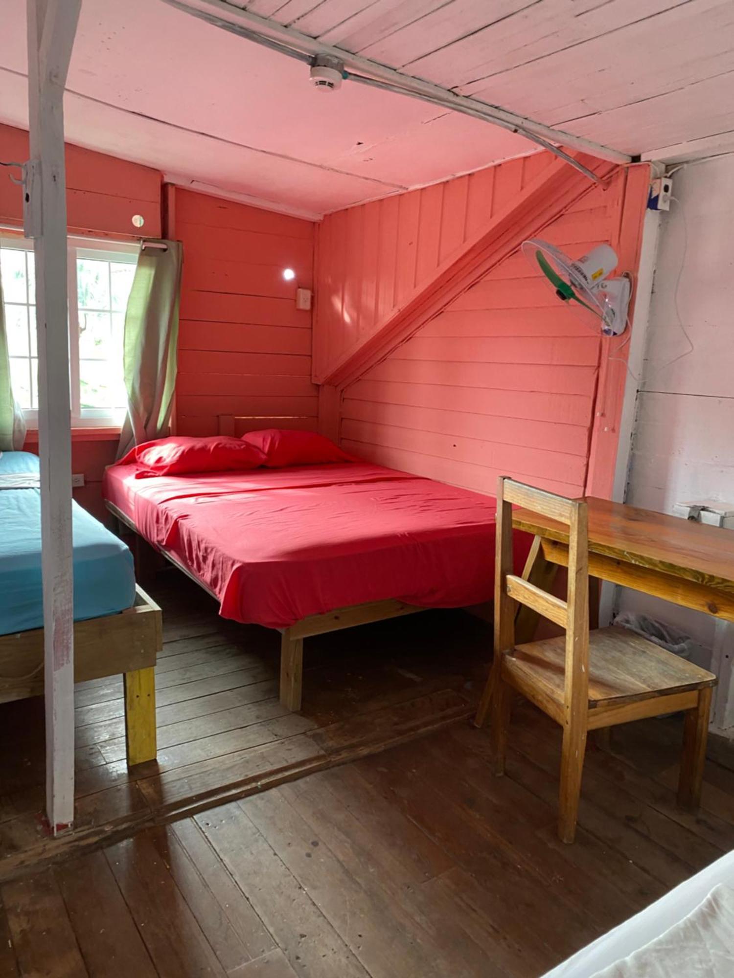 The Bocas Corner Hostel Bocas Town Ngoại thất bức ảnh